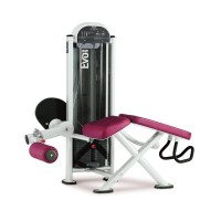دستگاه پشت ران خوابیده پاناتا FitEvo 1FE082