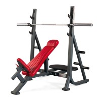 نیمکت پرس بالا سینه کمکی پاناتا 1HP205B