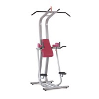 دستگاه بارفیکس پارالل پاناتا FitEvo 1FE211